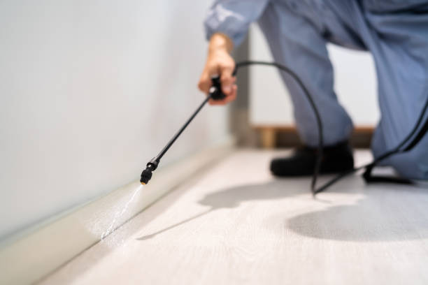Licensed Mosquito Control service in Floral City, FL - Show Me Pest Control