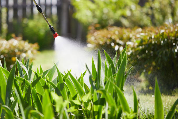24/7 Emergency Mosquito Control experts in Floral City, FL