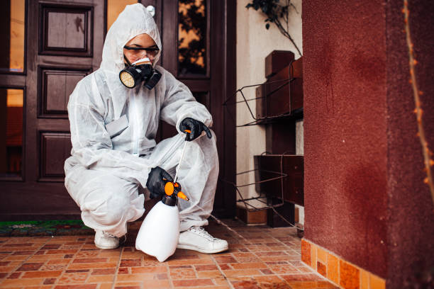 Reliable Mosquito Control contractor in Floral City, FL by Show Me Pest Control